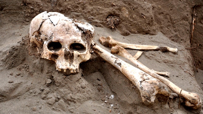 A skull and bones sit on a pre-hispanic tomb in Peru